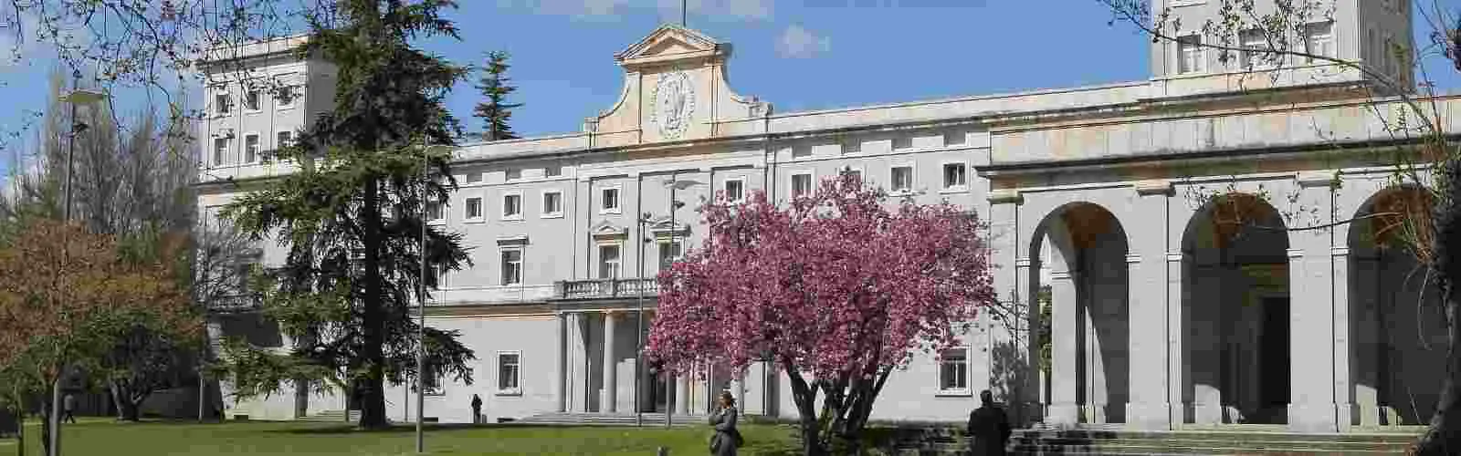 Jornadas profesionales